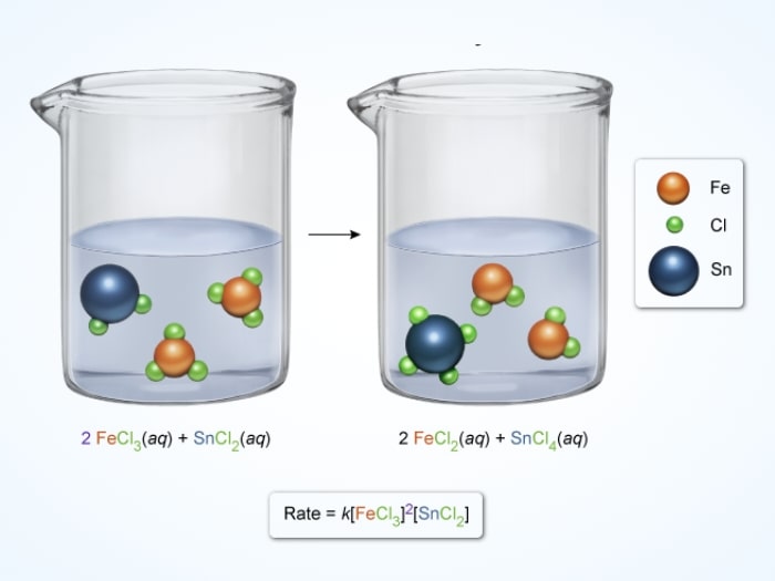 Illustration of two beakers showing the rate law of elementary reaction