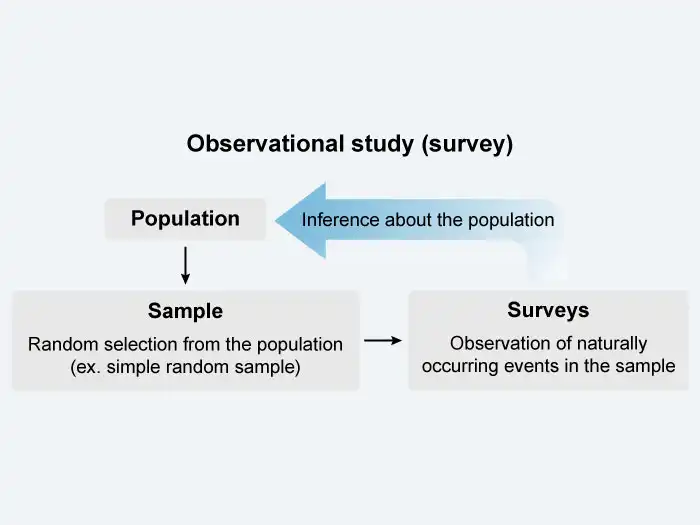Chart explaining a sample survey