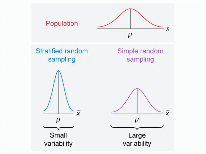 Comparing stratified random sampling to simple random sampling.