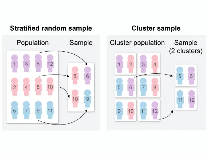 Graphic representation of the types of random sampling