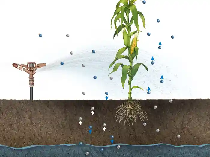 Image depicting salinization of soil through irrigation.