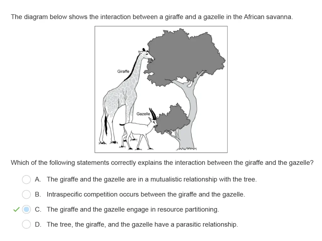 APES Example 1 Question