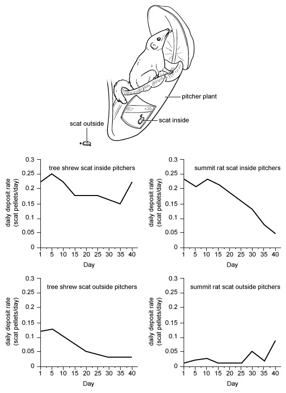 Illustration shows, for each of the animals and locations, daily deposit rates of scat