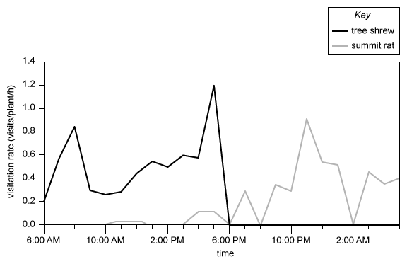 Graph showing tree shrew and summit rat visitation rates to pitcher plants per time of day over a complete day