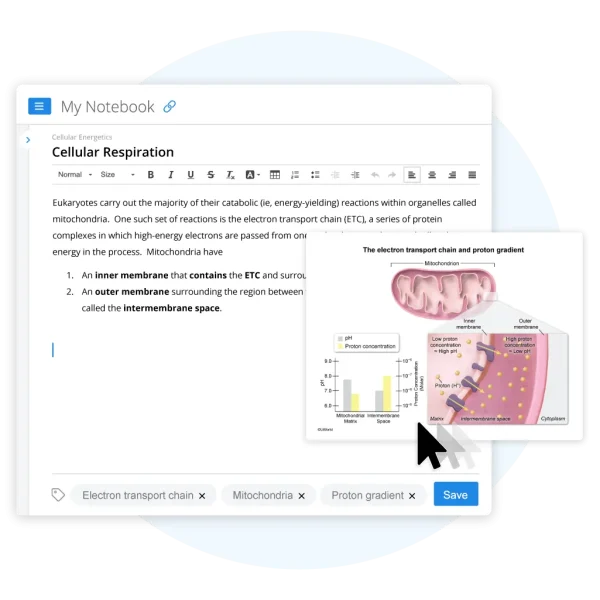 Sample AP Bio Digital Notebook