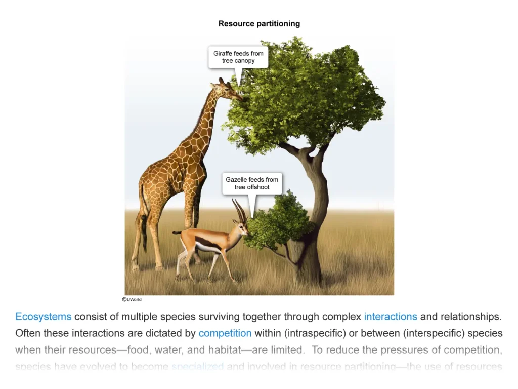 AP Environmental Science Explanation 1