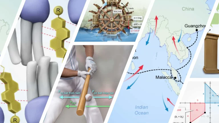 Photomontage of illustrations from UWorld’s AP exam courses