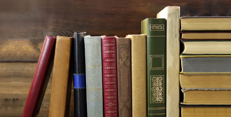 AP English Literature Books in a Rack