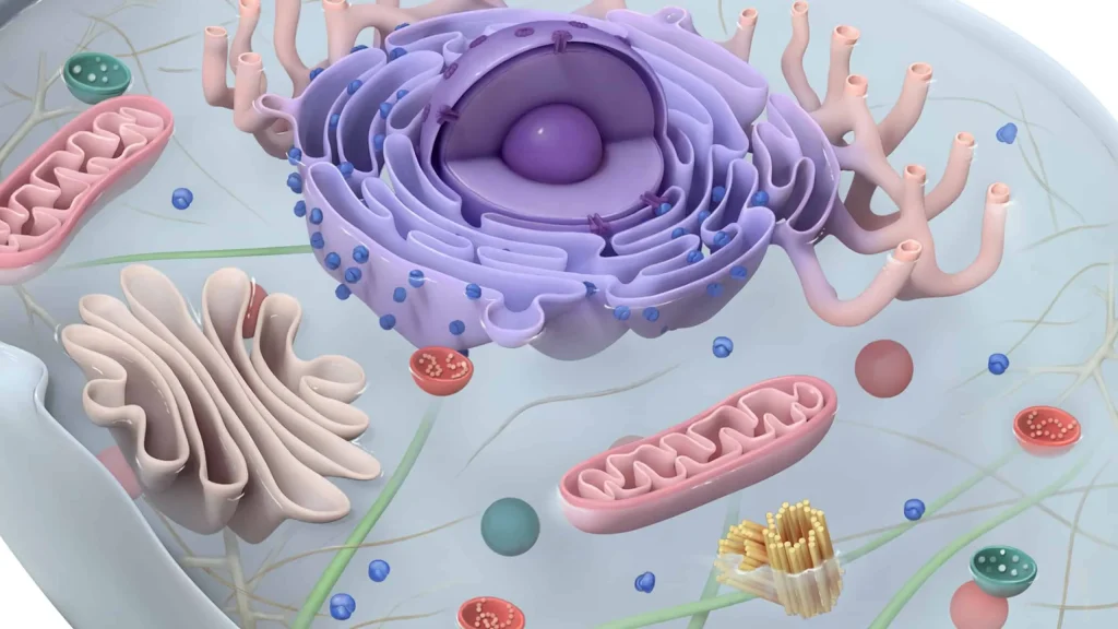 Illustration of a cell from UWorld’s AP biology exam course