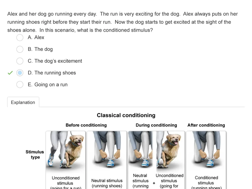 AP Psychology Example Question 4