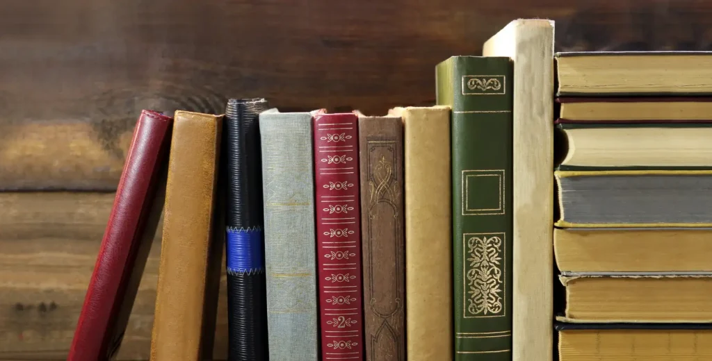 AP English Literature Books in a Rack