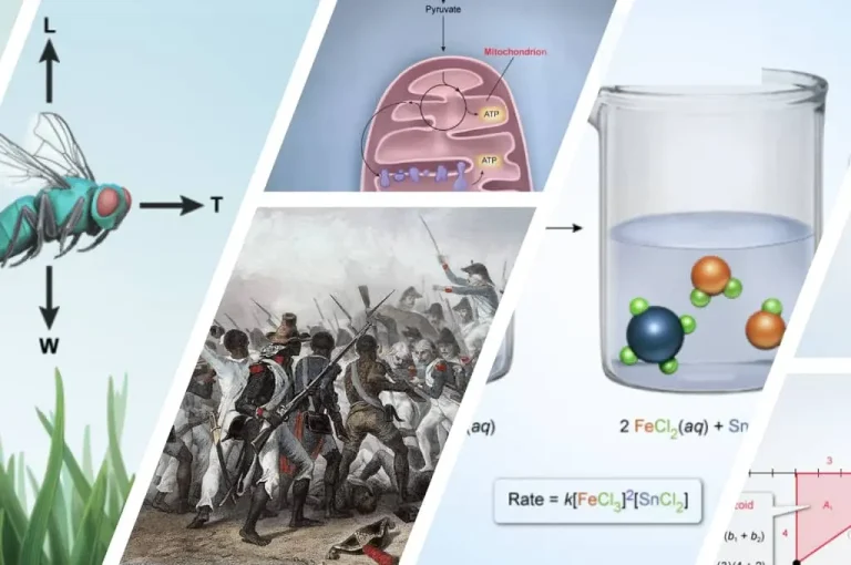 Photomontage of illustrations from UWorld’s AP exam courses