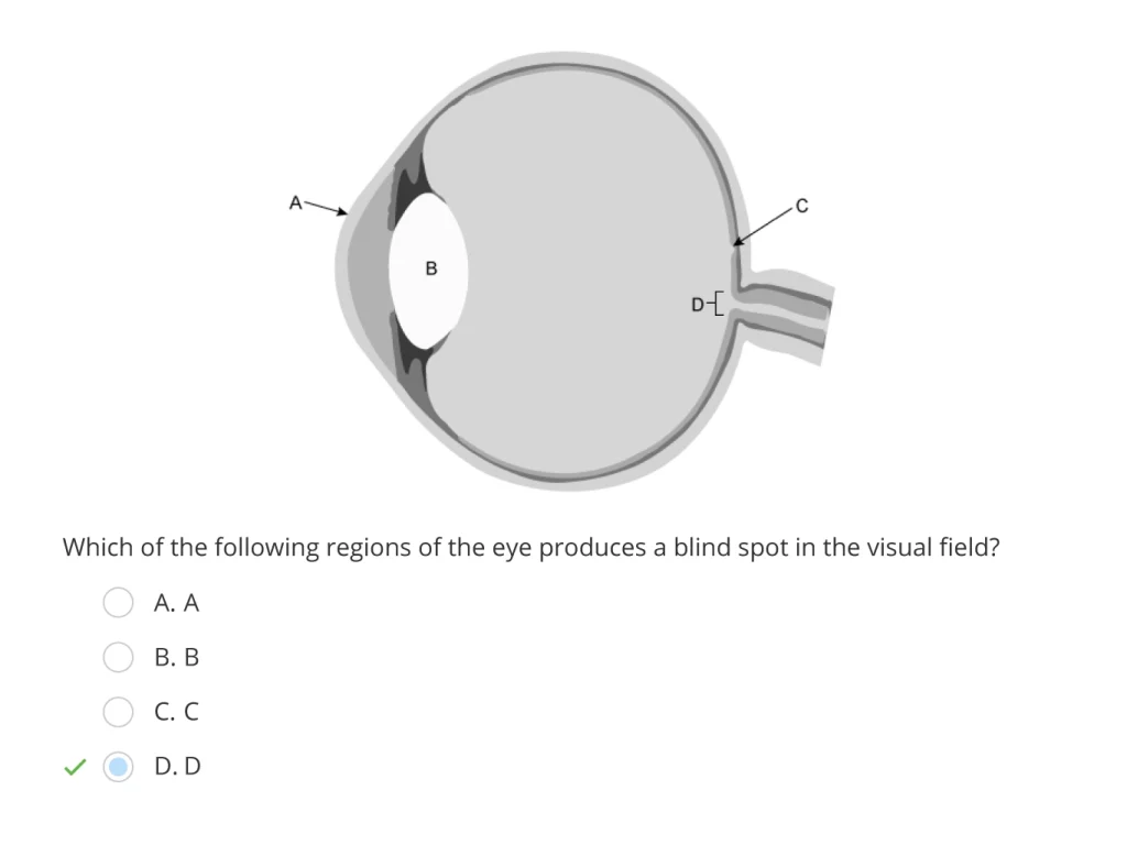 AP Psych Example 2 Question