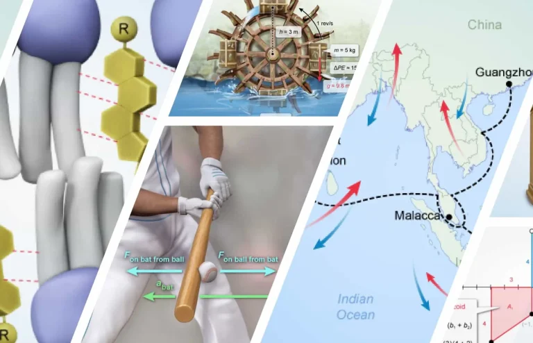 Photomontage of illustrations from UWorld’s AP exam courses