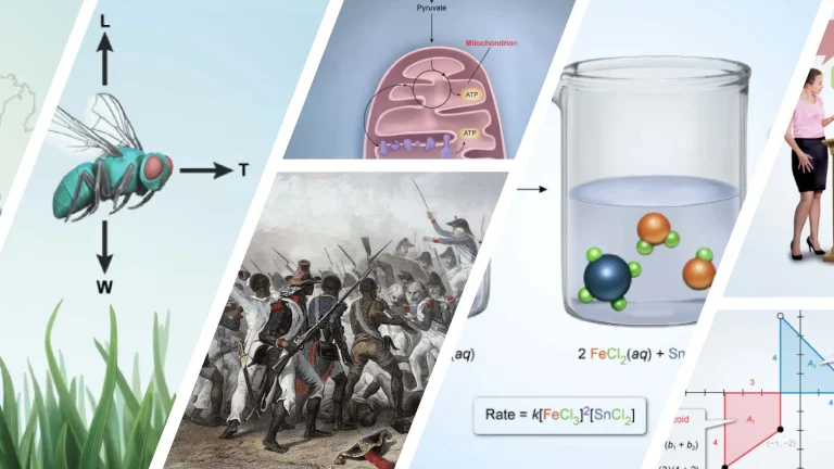 Photomontage of illustrations from UWorld’s AP exam courses