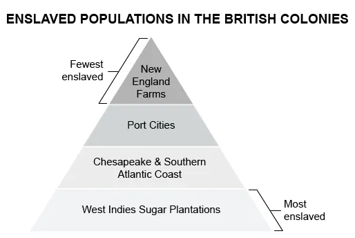 Enslaved Populations in the British Colonies
