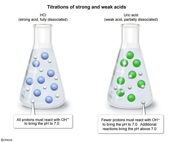 Titrations of strong and weak acids