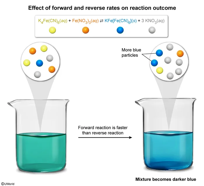 Effect of forward and reverse rates on reaction outcome
