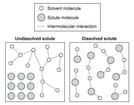 Intermolecular Interaction