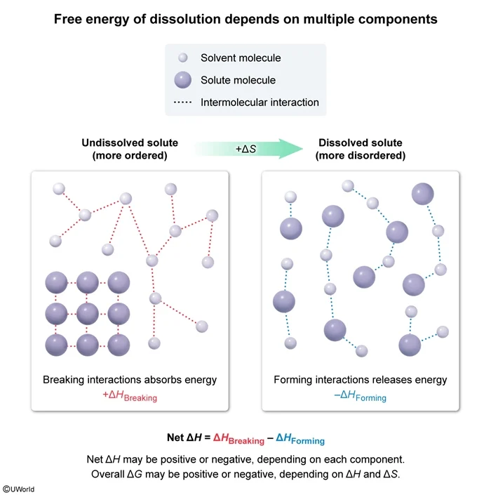 Free energy of dissolution depends on multiple components