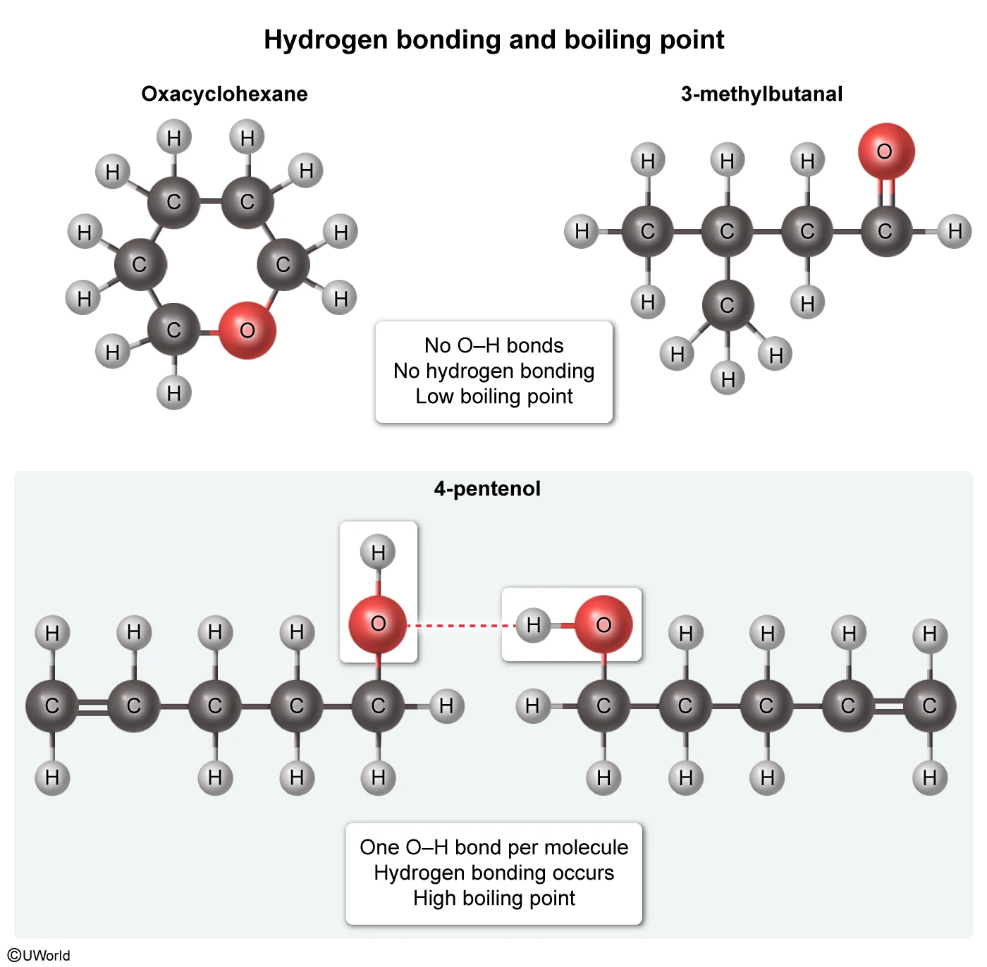 Hydrogen bonding & boiling point