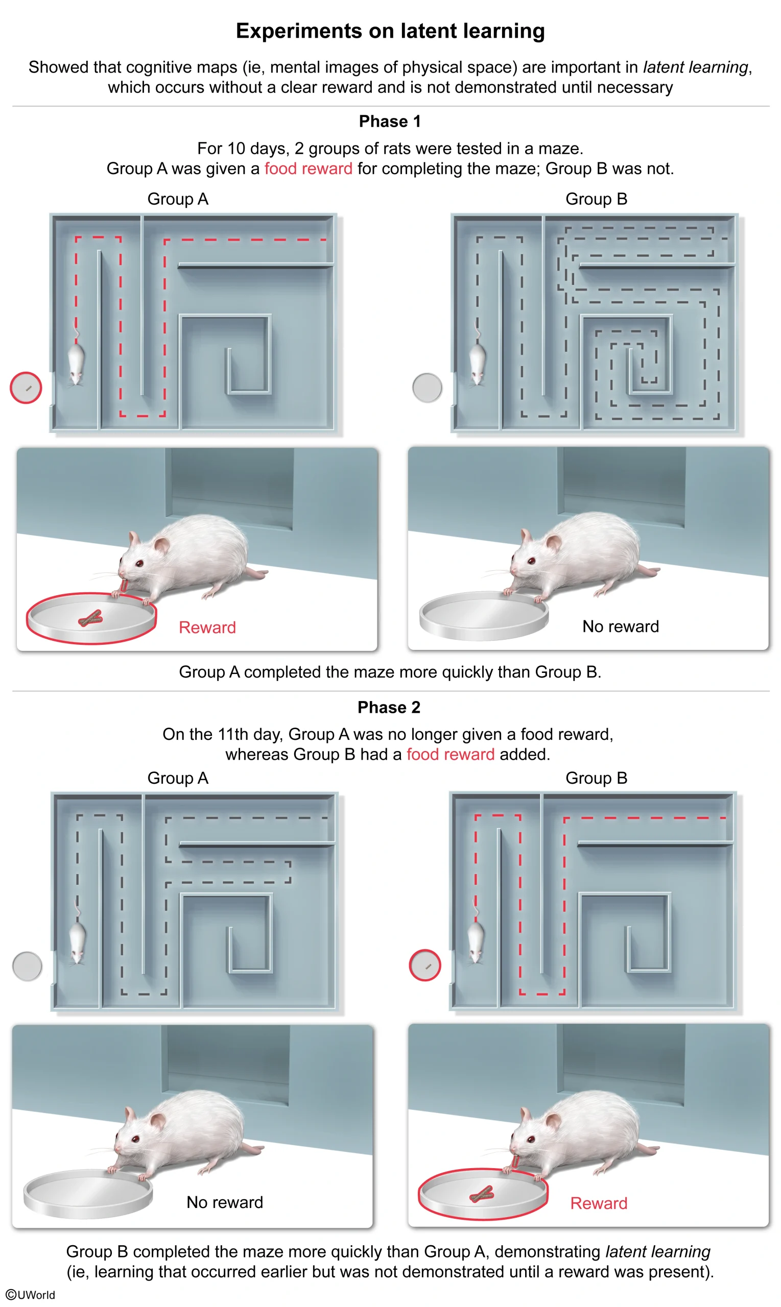 Experiments on Latent Learnings