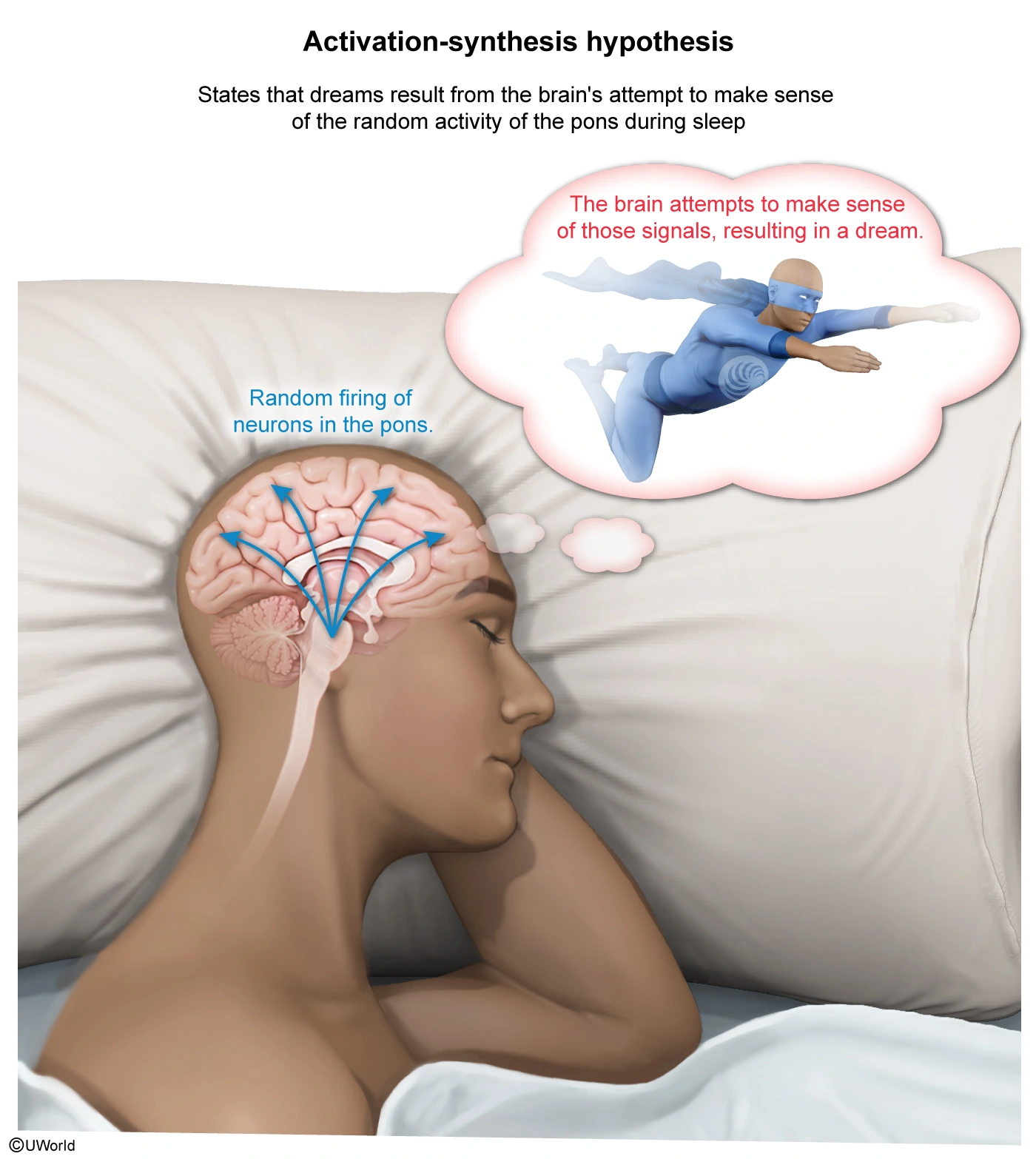 activation synthesis hypothesis