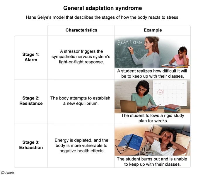 General Adaptation syndrome
