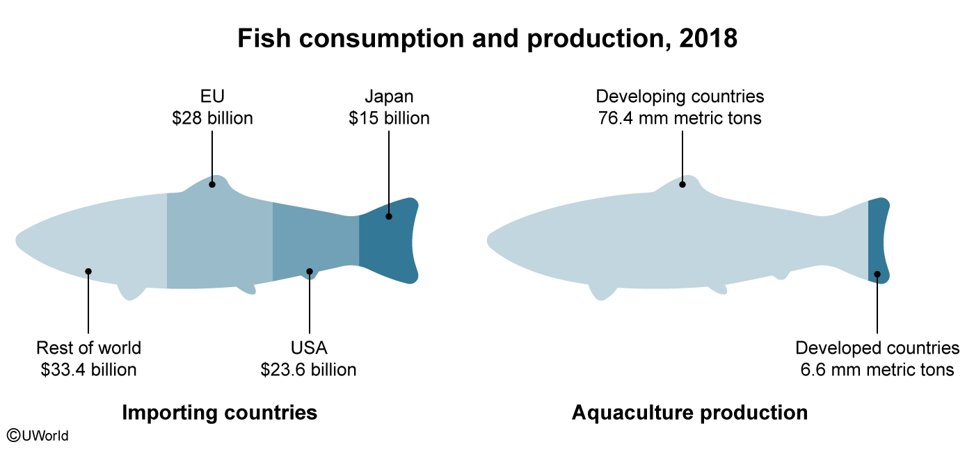 Globalization has Eroded Native Cultures