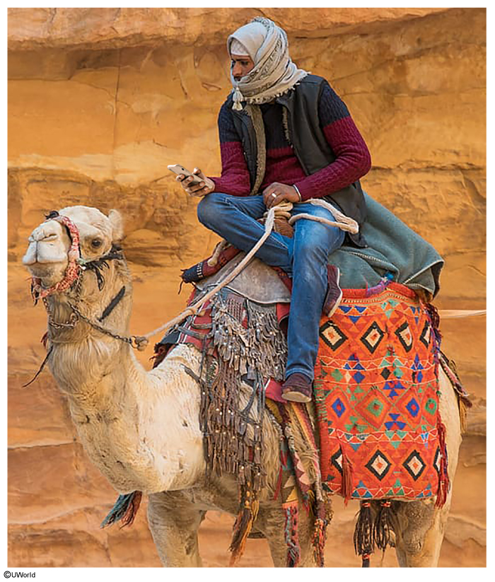 Globalization has Eroded Native Cultures