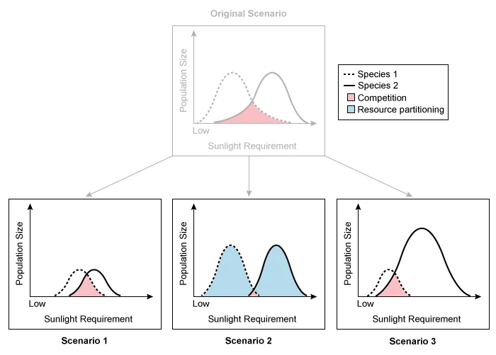 Resource partitioning of plant species